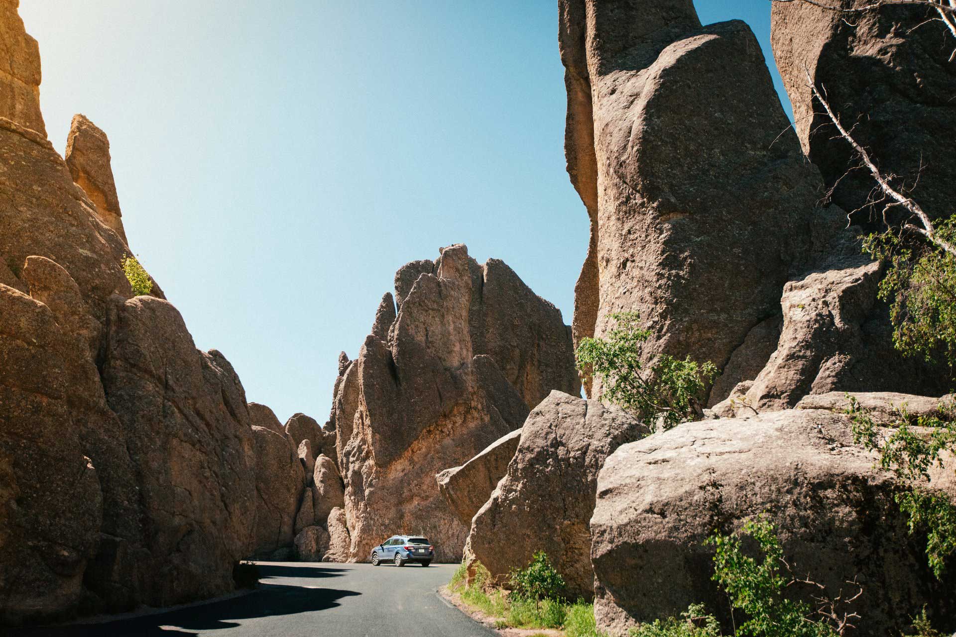 Peter Norbeck National Scenic Byway | Travel South Dakota