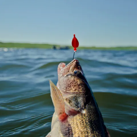 Southeast South Dakota Fishing | Travel South Dakota